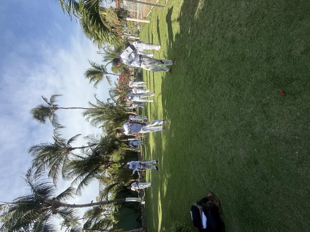 Pura Capoeira Toluca